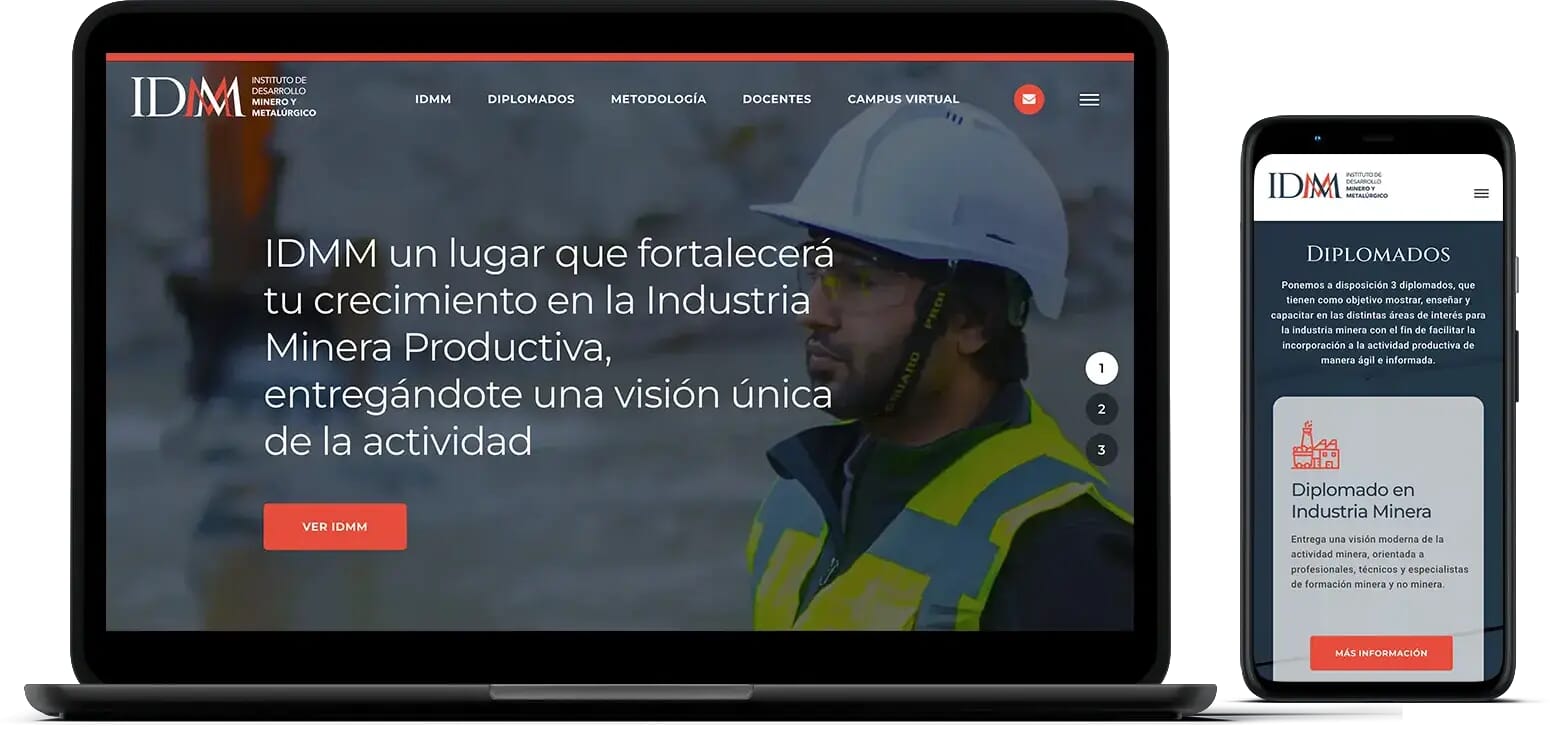 Instituto de Desarrollo Minero y Metalúrgico